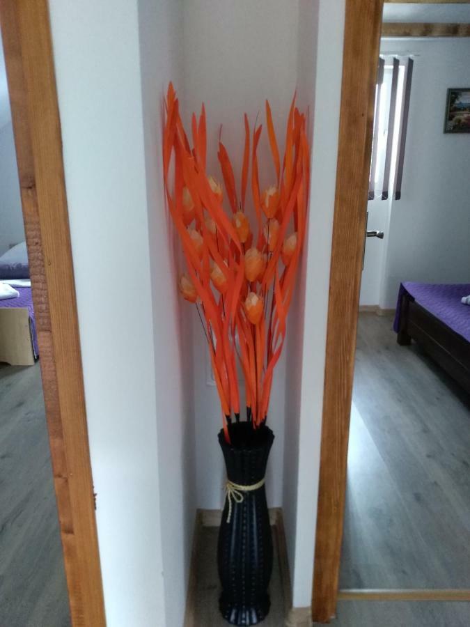 Apartman Nina Licko Petrovo Selo Exterior foto